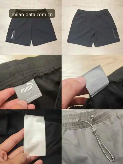 资深iOS用户深度测评：米兰体育可靠吗？我花了三个月时间验证